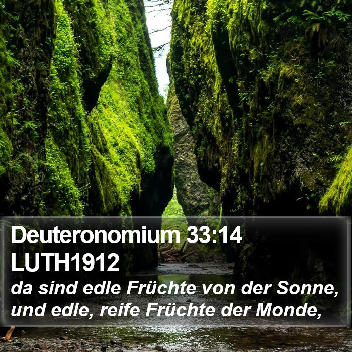 Deuteronomium 33:14 LUTH1912 Bible Study