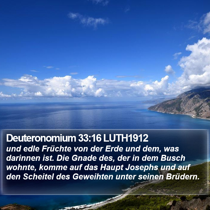 Deuteronomium 33:16 LUTH1912 Bible Study