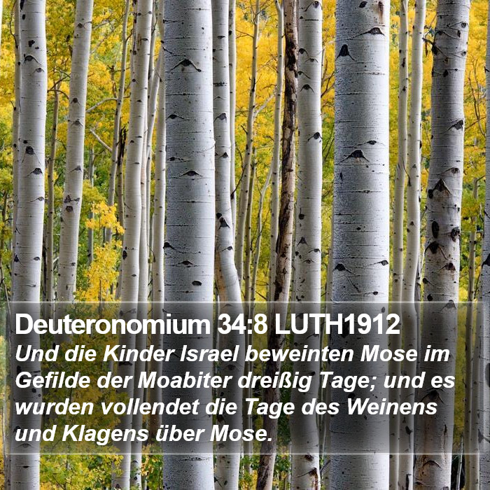 Deuteronomium 34:8 LUTH1912 Bible Study