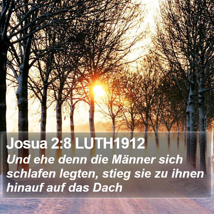 Josua 2:8 LUTH1912 Bible Study