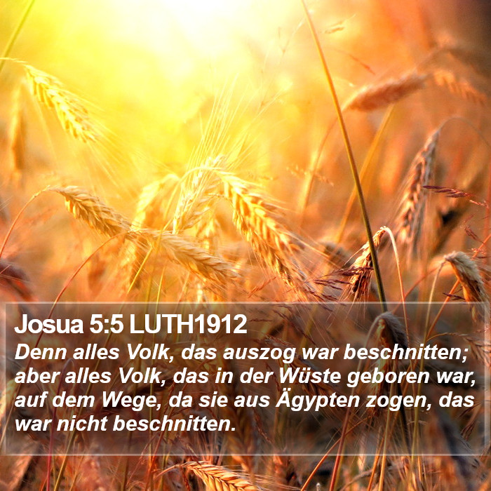 Josua 5:5 LUTH1912 Bible Study
