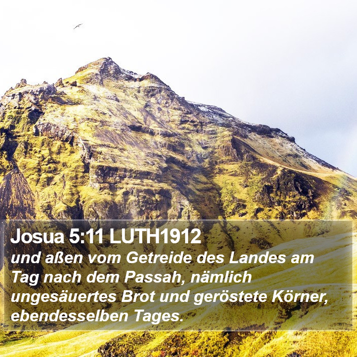 Josua 5:11 LUTH1912 Bible Study
