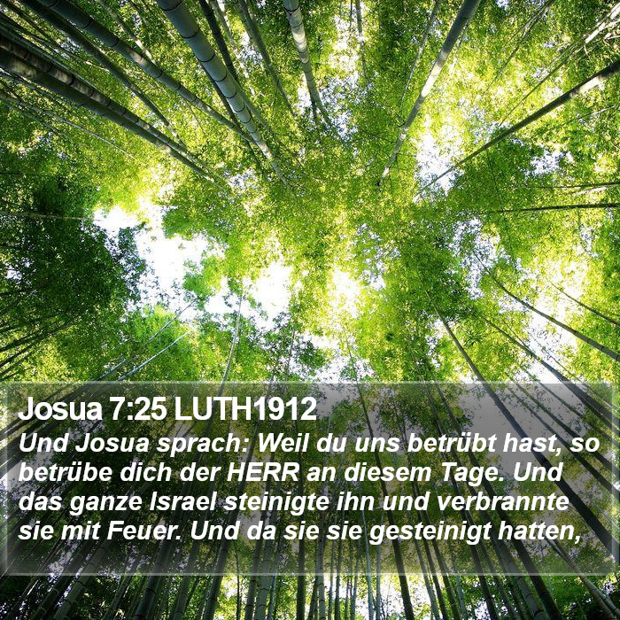 Josua 7:25 LUTH1912 Bible Study