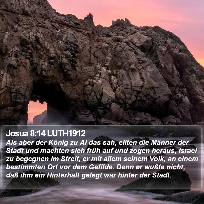 Josua 8:14 LUTH1912 Bible Study