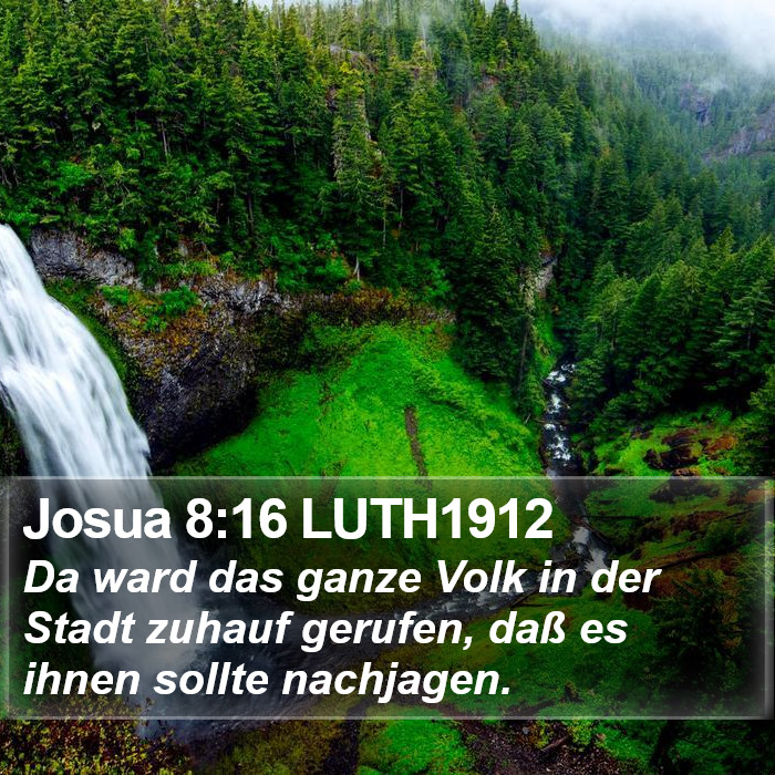 Josua 8:16 LUTH1912 Bible Study