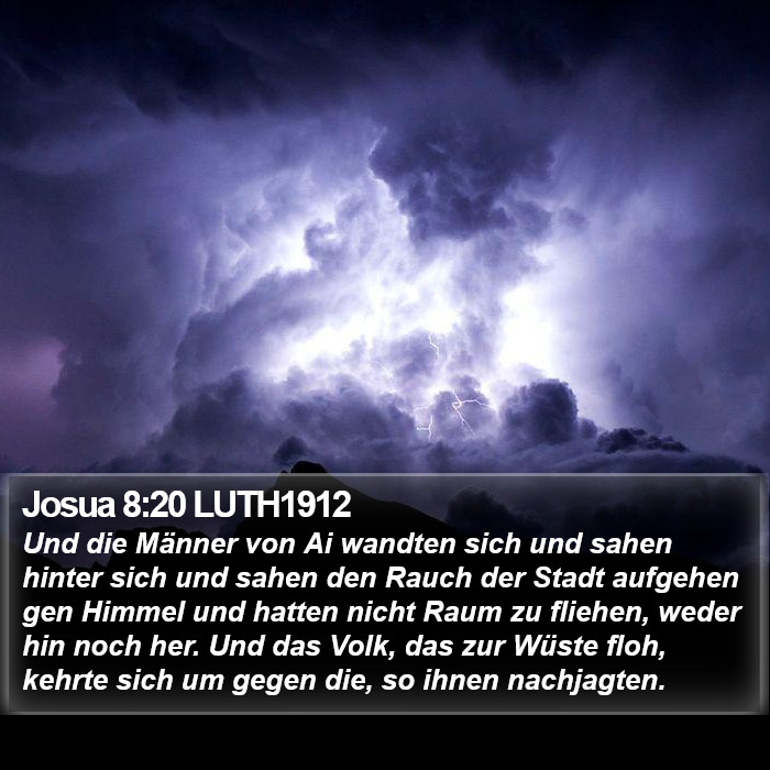 Josua 8:20 LUTH1912 Bible Study