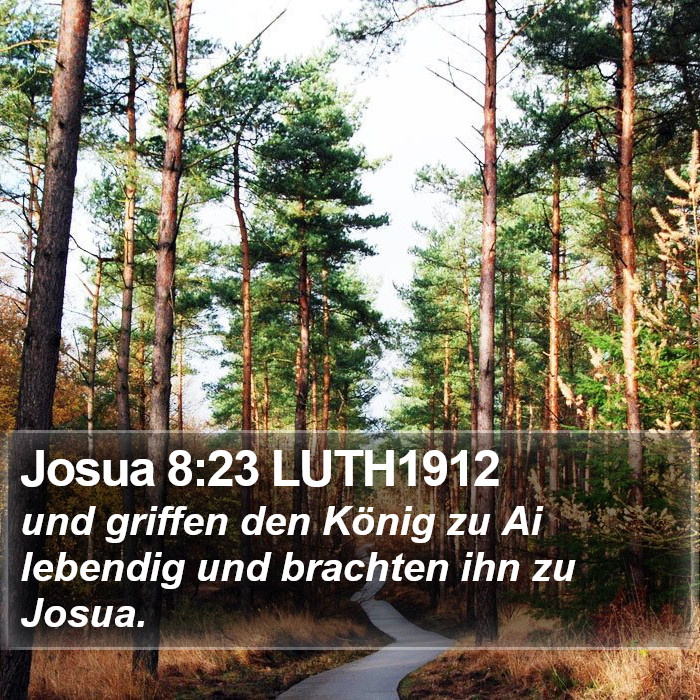 Josua 8:23 LUTH1912 Bible Study