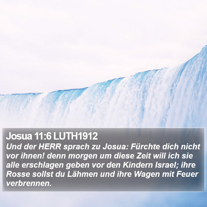 Josua 11:6 LUTH1912 Bible Study