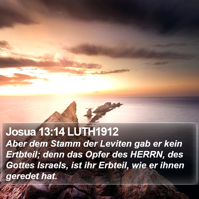 Josua 13:14 LUTH1912 Bible Study