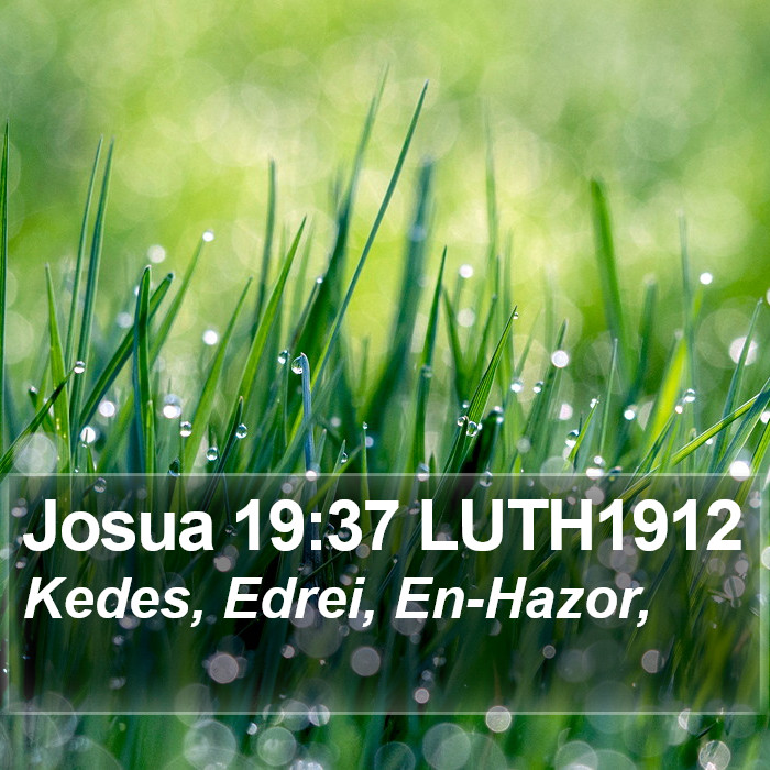 Josua 19:37 LUTH1912 Bible Study