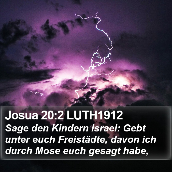 Josua 20:2 LUTH1912 Bible Study