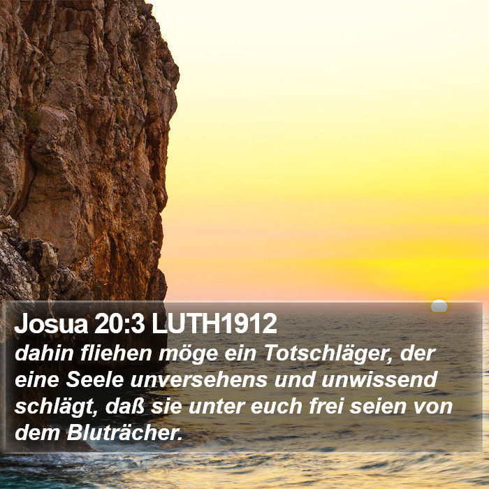 Josua 20:3 LUTH1912 Bible Study