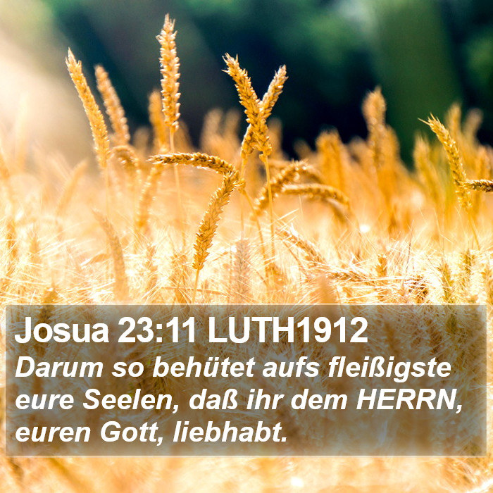 Josua 23:11 LUTH1912 Bible Study