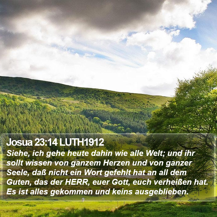 Josua 23:14 LUTH1912 Bible Study