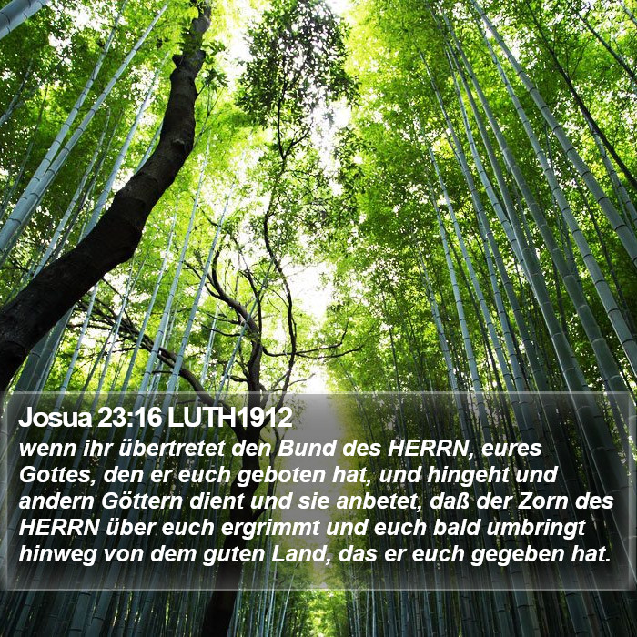 Josua 23:16 LUTH1912 Bible Study