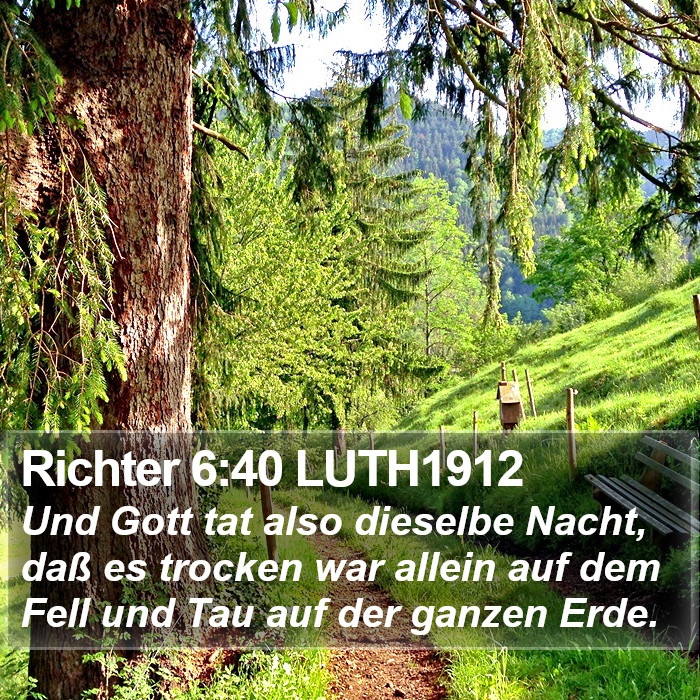 Richter 6:40 LUTH1912 Bible Study