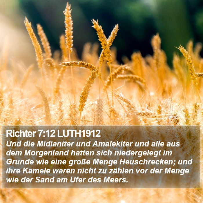 Richter 7:12 LUTH1912 Bible Study