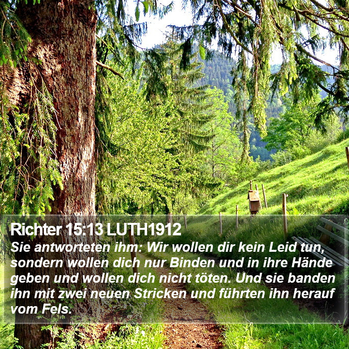 Richter 15:13 LUTH1912 Bible Study