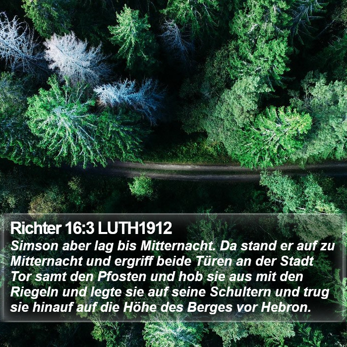 Richter 16:3 LUTH1912 Bible Study