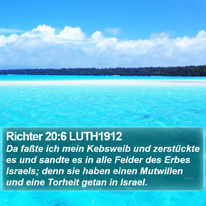 Richter 20:6 LUTH1912 Bible Study