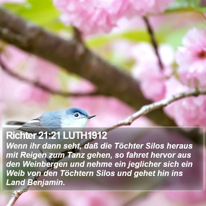 Richter 21:21 LUTH1912 Bible Study