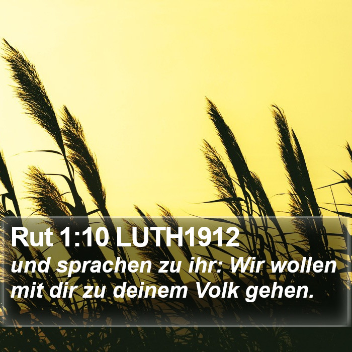 Rut 1:10 LUTH1912 Bible Study