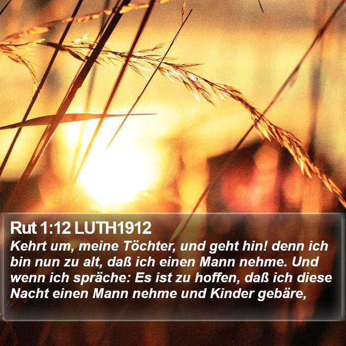 Rut 1:12 LUTH1912 Bible Study