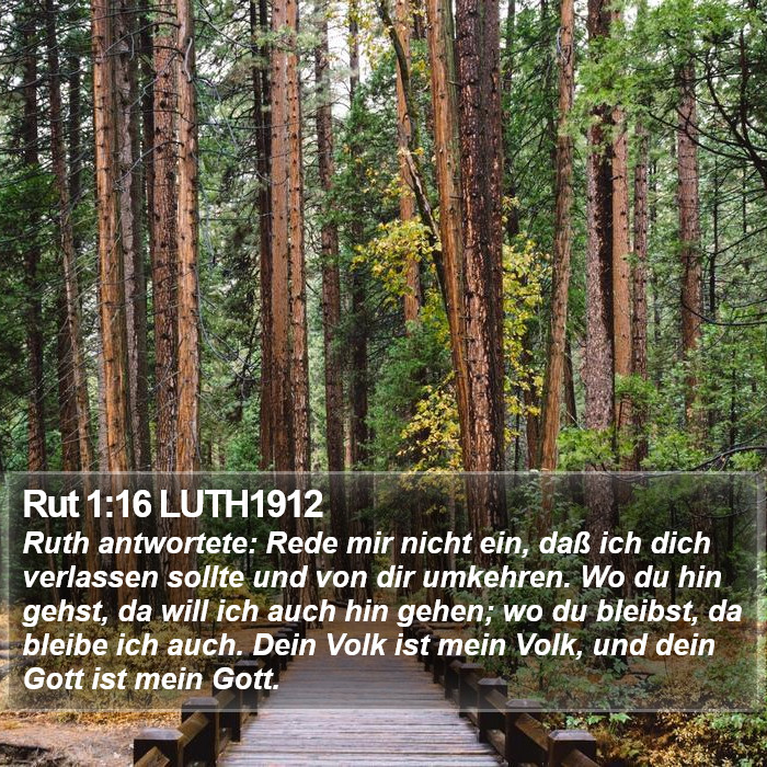 Rut 1:16 LUTH1912 Bible Study