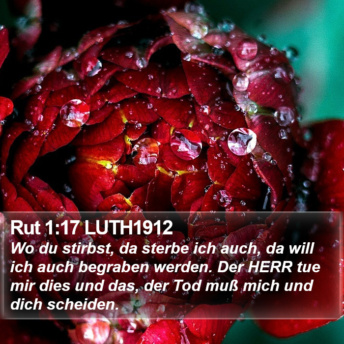 Rut 1:17 LUTH1912 Bible Study