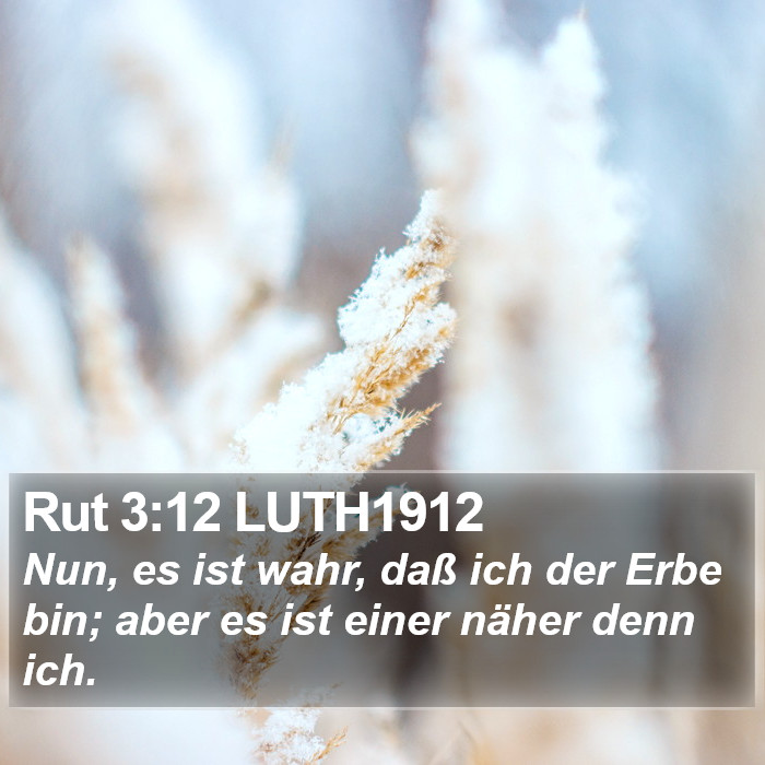 Rut 3:12 LUTH1912 Bible Study