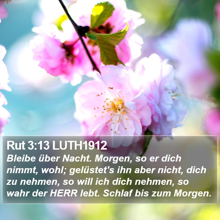 Rut 3:13 LUTH1912 Bible Study