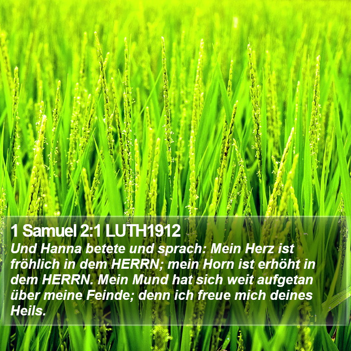 1 Samuel 2:1 LUTH1912 Bible Study