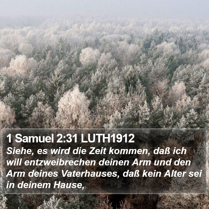 1 Samuel 2:31 LUTH1912 Bible Study