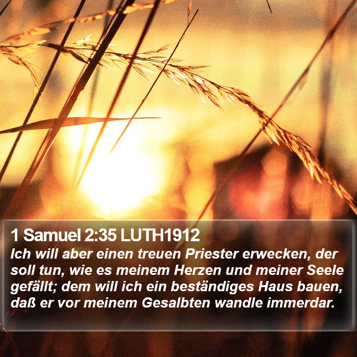 1 Samuel 2:35 LUTH1912 Bible Study