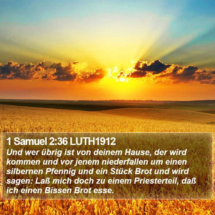 1 Samuel 2:36 LUTH1912 Bible Study