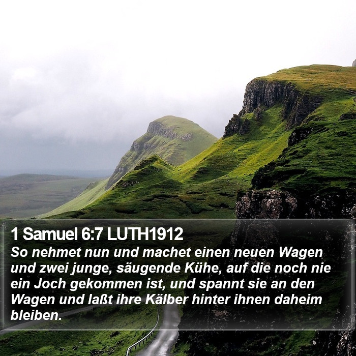 1 Samuel 6:7 LUTH1912 Bible Study