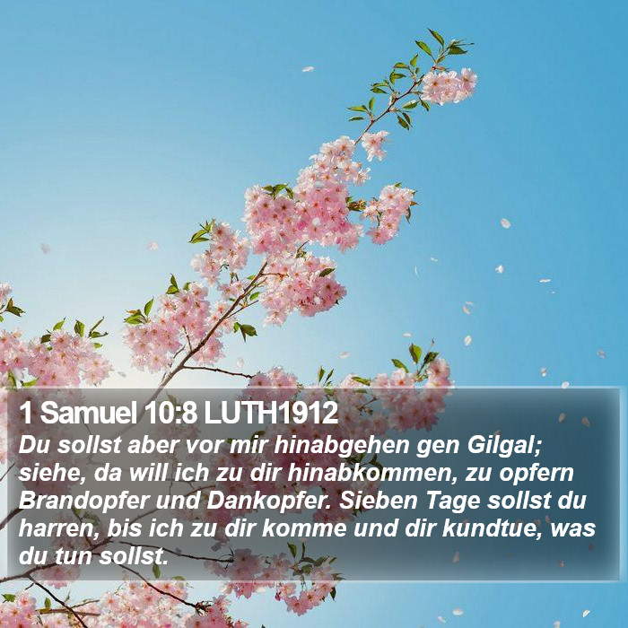 1 Samuel 10:8 LUTH1912 Bible Study