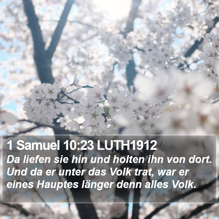 1 Samuel 10:23 LUTH1912 Bible Study