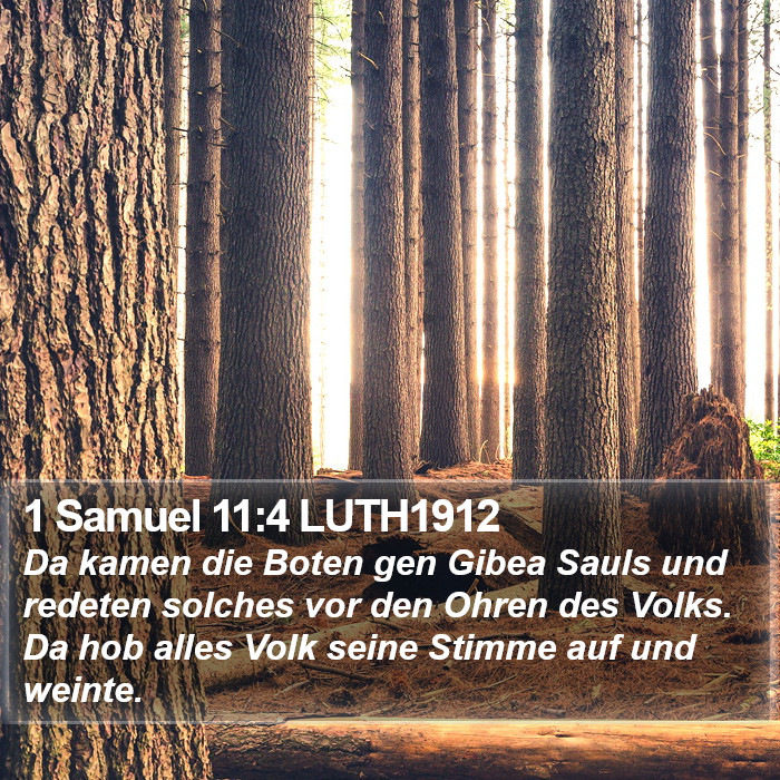 1 Samuel 11:4 LUTH1912 Bible Study