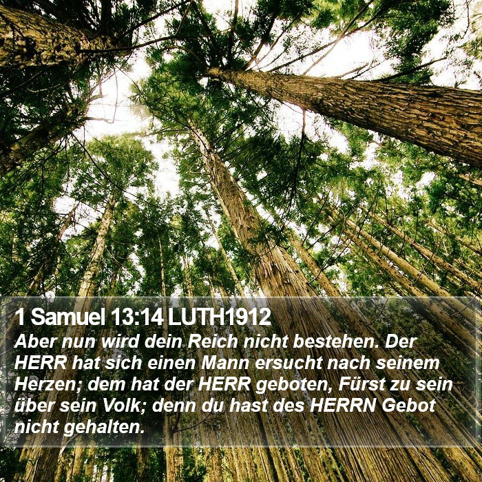 1 Samuel 13:14 LUTH1912 Bible Study