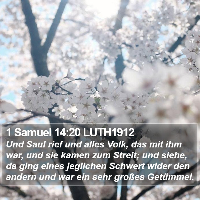 1 Samuel 14:20 LUTH1912 Bible Study