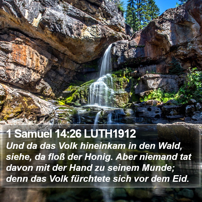1 Samuel 14:26 LUTH1912 Bible Study