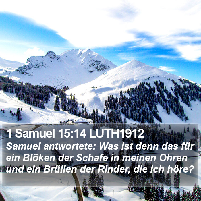 1 Samuel 15:14 LUTH1912 Bible Study