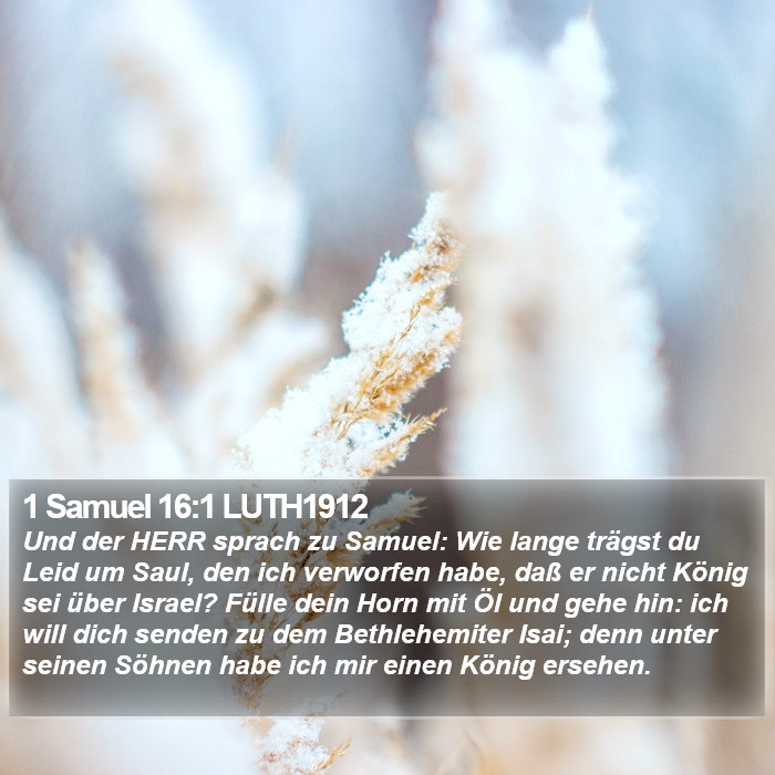 1 Samuel 16:1 LUTH1912 Bible Study