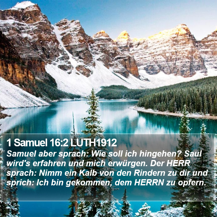 1 Samuel 16:2 LUTH1912 Bible Study