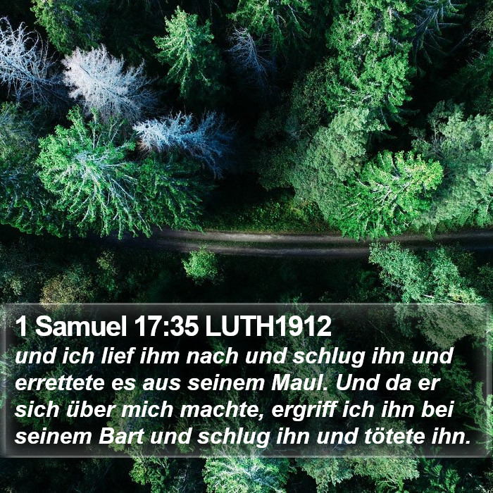 1 Samuel 17:35 LUTH1912 Bible Study