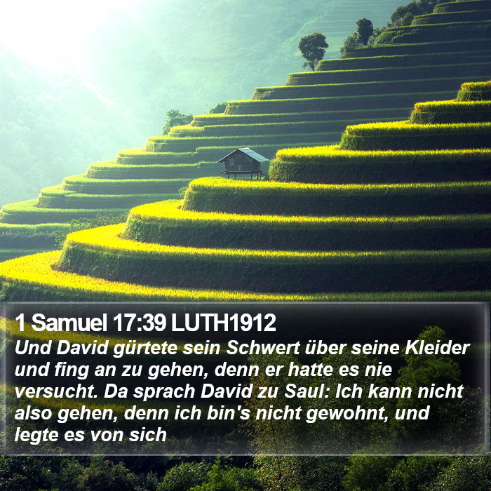 1 Samuel 17:39 LUTH1912 Bible Study