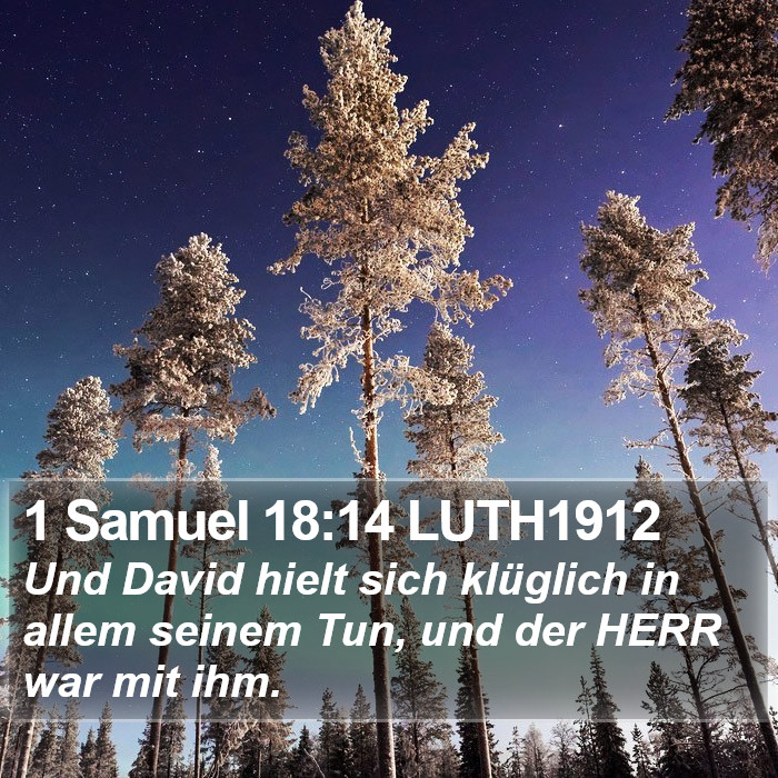 1 Samuel 18:14 LUTH1912 Bible Study