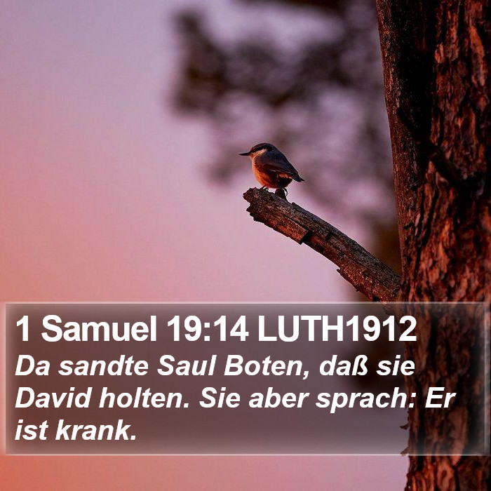 1 Samuel 19:14 LUTH1912 Bible Study