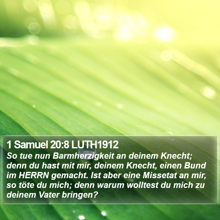 1 Samuel 20:8 LUTH1912 Bible Study